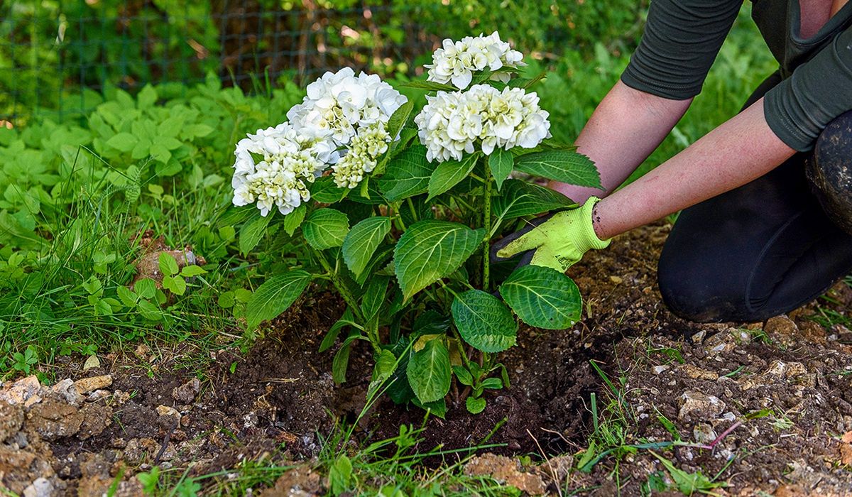 Kwiecień to ostatni dzwonek! Zrób to, zanim będzie za późno