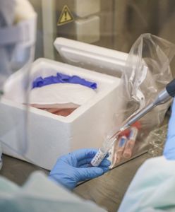 Koronawirus. Pomorskie. Coraz więcej zakażonych w szpitalu w Kościerzynie