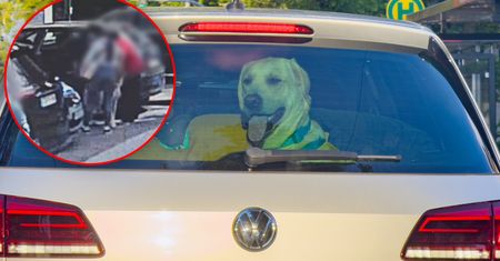Zauważył psa zamkniętego w samochodzie. Nagranie z interwencji