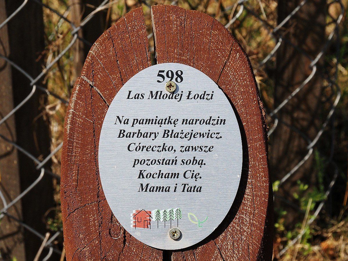 Las Młodej Łodzi: Dołącz i posadź w nowej lokalizacji drzewko dla swojego dziecka. Będzie ku temu okazja w sobotę 27 września