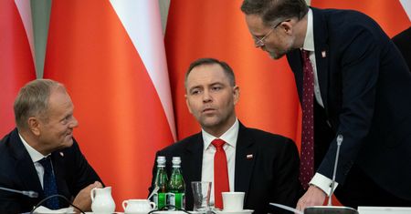 Niemcy piszą o polexicie. "Byłby katastrofą"