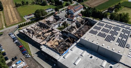 Polacy ruszyli na pomoc producentowi Paluszków Beskidzkich. Oto skutek