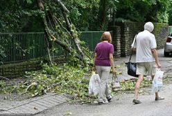 "Burza roku" na Węgrzech. "Pioruny uderzały co sekundę"