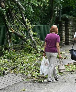 "Burza roku" na Węgrzech. "Pioruny uderzały co sekundę"