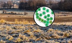 Do końca tygodnia zima. Później duże ocieplenie