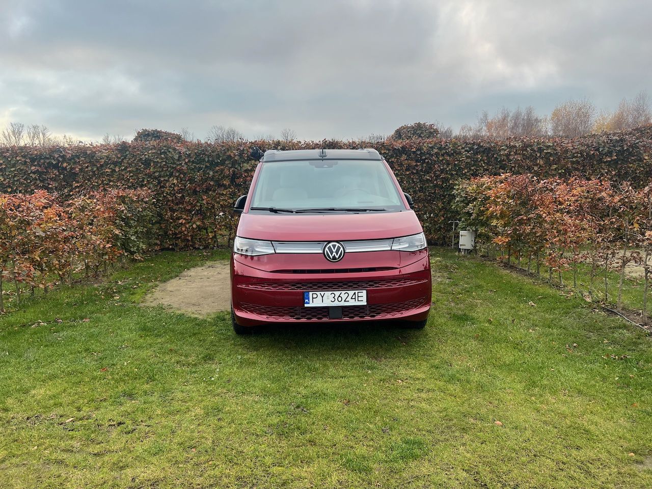 VW California T7 Ocean