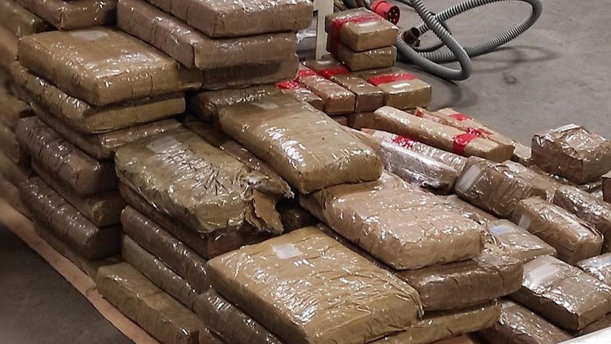 Zdjęcie ilustracyjne.