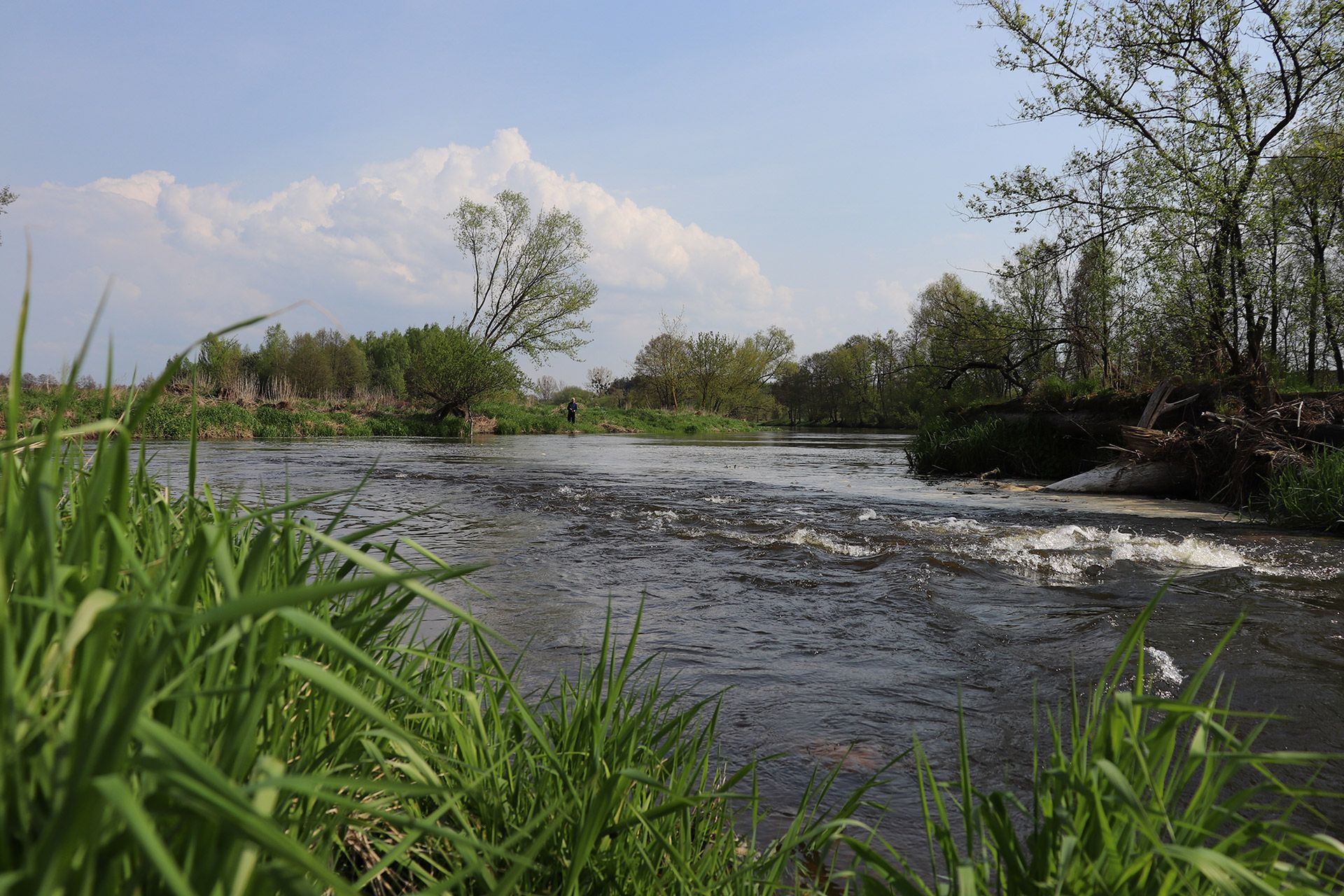 Canon EOS 77D - zaawansowana lustrzanka dla pasjonatów [test] 52