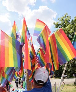 Parada Równości. Co oznaczają kolory LGBT?