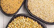 Zapomnij o zwykłej kaszy. Te 3 "super ziarna" to tarcza dla serca i ratunek dla jelit