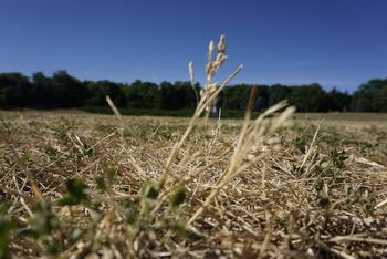 Ważne wieści dla rolników. Nowe informacje o skali zagrożenia
