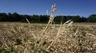 Ważne wieści dla rolników. Nowe informacje o skali zagrożenia