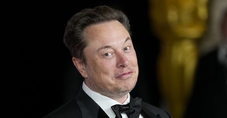 Polityczne spory w Niemczech. Elon Musk popiera skrajnie prawicową partię AfD