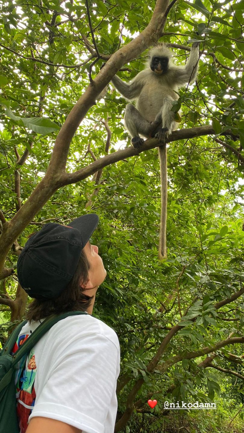Nikodem Rozbicki w Parku Narodowym Jozani