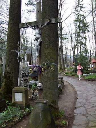Obraz