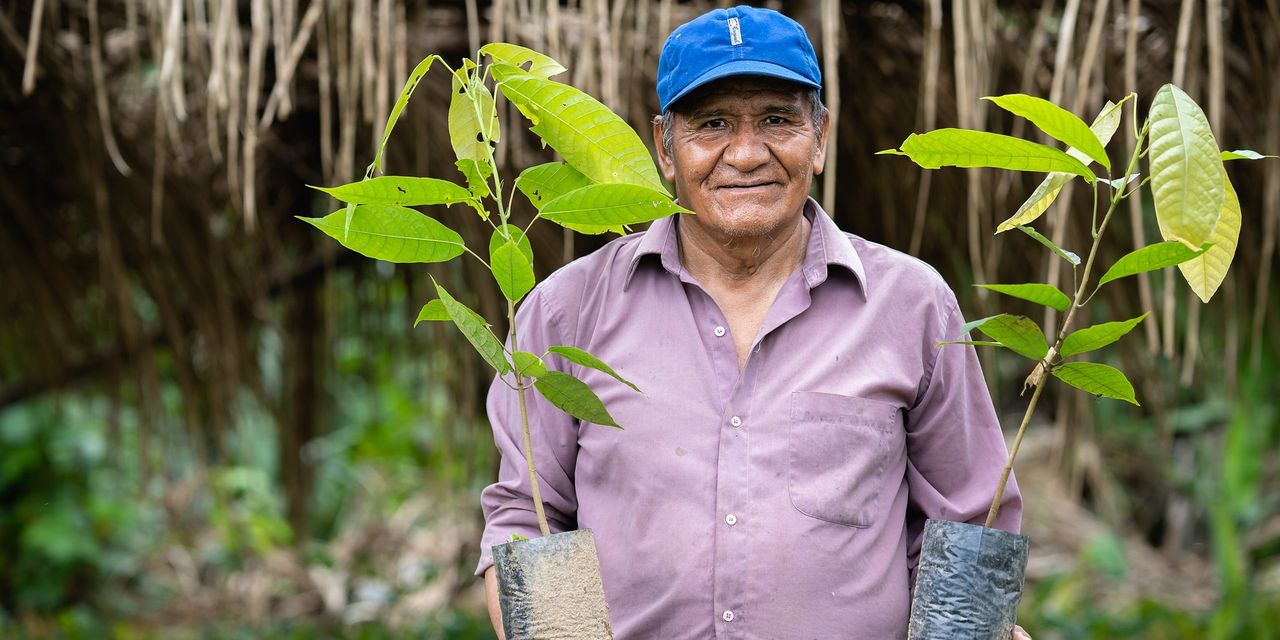 FOREO posadzi tysiące drzew, dzięki zaangażowaniu klientów na całym świecie