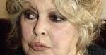 Brigitte Bardot do Carli Bruni: niech prezydent zakaże korridy