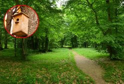 Nowatorski projekt w Pruszkowie. Mieszkańcy będą mogli obserwować ptaki on-line