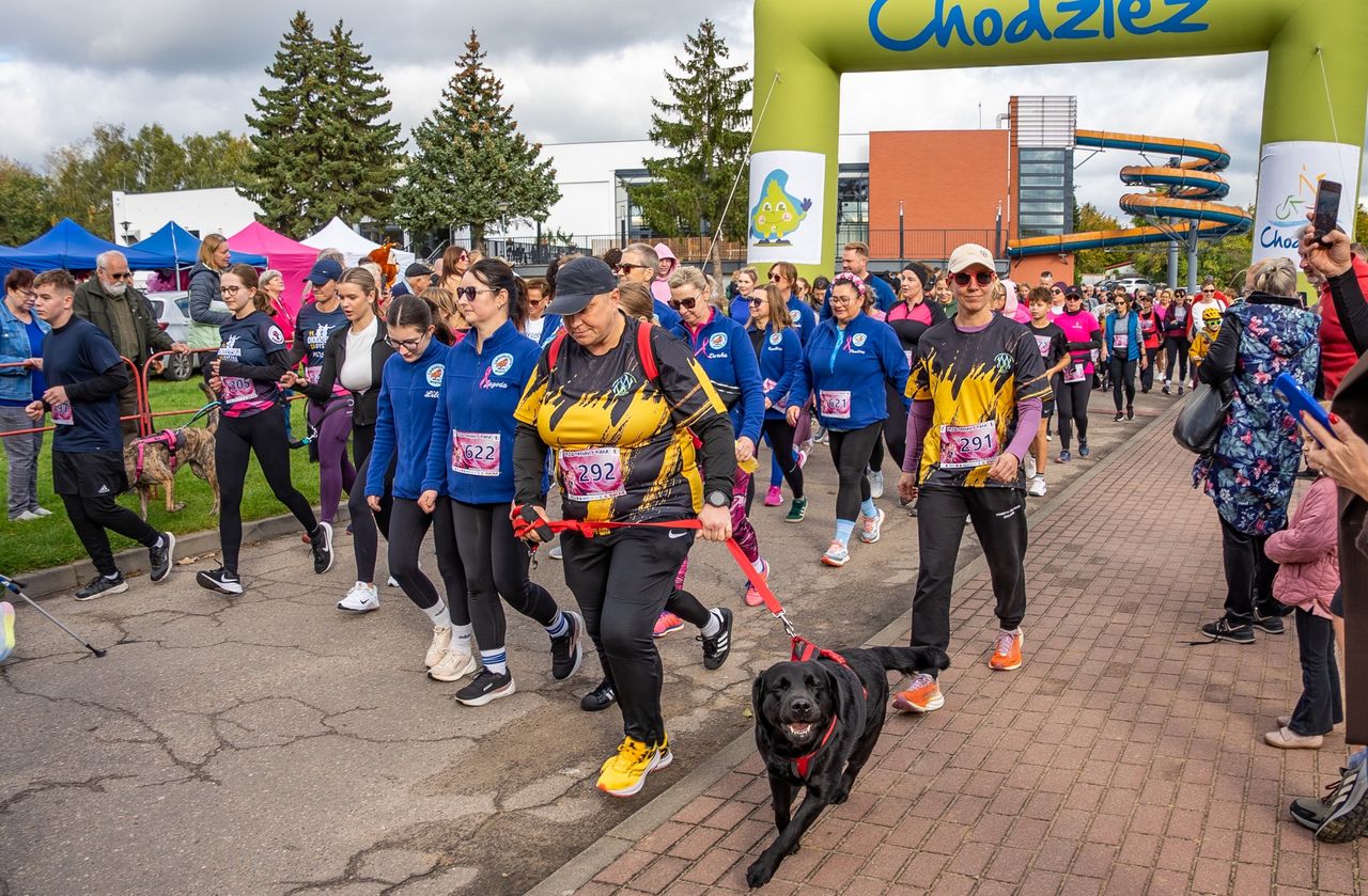 XI Chodzieska ZaDyszka 2026 oraz Różowy Bieg Charytatywny „Przeganiamy Raka” – Chodzież, 11 października 2026 r.