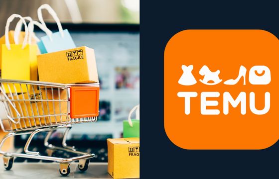 Temu ma coraz trudniej w Europie. Śledztwo antymonopolowe u naszego sąsiada