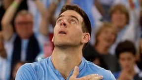Puchar Davisa: rozczarowujący powrót Ivo Karlovicia, Juan Martin Del Potro wyrównał stan finału
