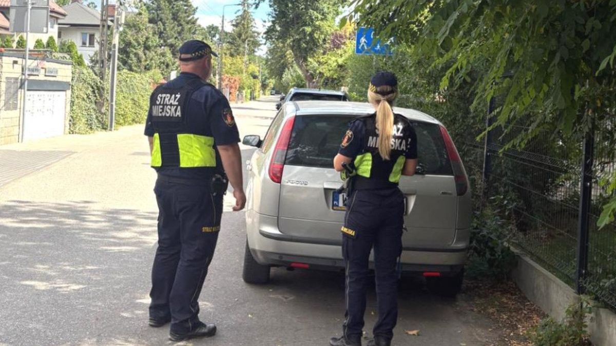 Nietypowy gość w restauracji. Ekopatrol zabrał dużą Arę do azylu