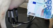 Ceny mleka. Czy w listopadzie będą najniższe od miesięcy?
