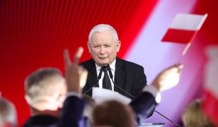 PiS odkrywa karty ws. wyborów do PE. Konwencja w Kielcach