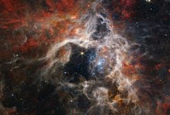 Mgławica Tarantula na ujęciach teleskopu Webba. Najnowsze zdjęcia zachwycają