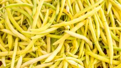 Fasolka szparagowa oczyszcza i wspiera jelita. Ale wiele osób źle ją przyrządza