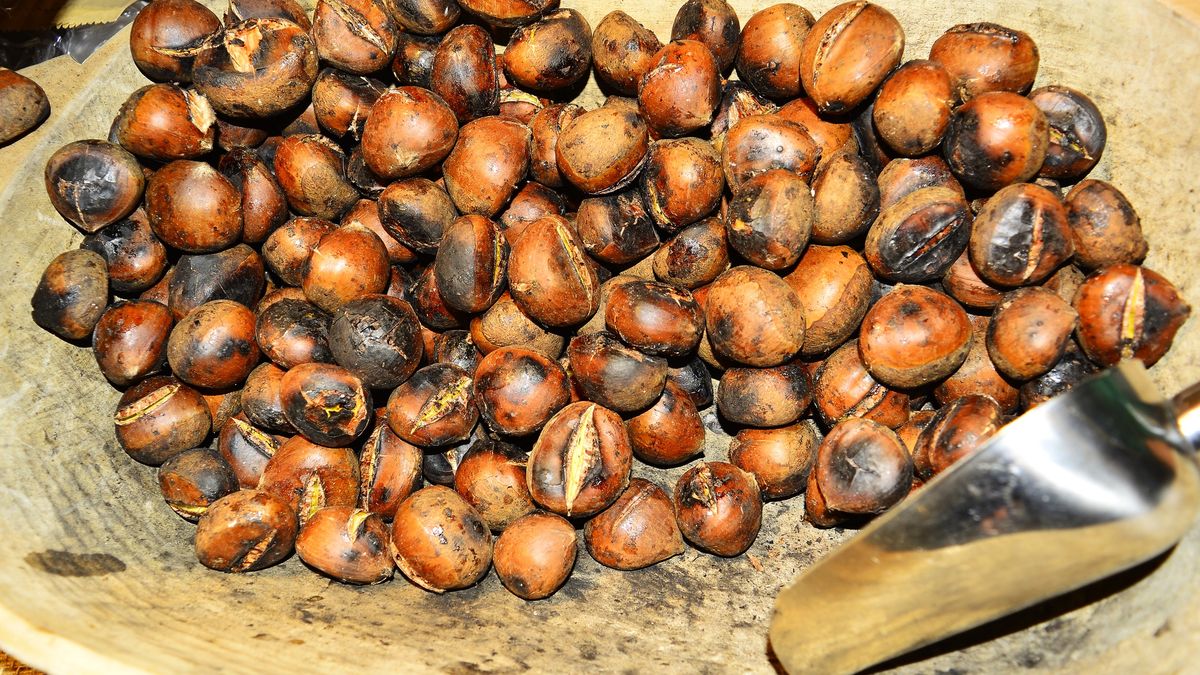 Roasted chestnuts
Roasted chestnuts
RADsan
Cooked, Pre-Packaged Food, Preparing Food, Healthy Eating, No People, Large Group of Objects, Roasted Chestnut, Vegetarian Food, Rustic, Nutrient, Ready-To-Eat, Burlap Sack, Burlap, Paper Bag, Sack, Baked, Chestnut - Food, Grilled, Roasted, Cutting Board, Eating, Wrapping Paper, Cooking, Cracked, Snack, Ingredient, Heat - Temperature, Abundance, Freshness, Enjoyment, Brown, Wood - Material, Canvas, Open, Food And Drink, Horizontal, Nut - Food, Ripe, Autumn, Season, Equipment, Sweet Food, Food, Bag, Container, Nautical Vessel, October