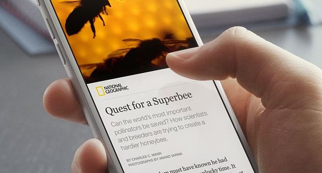 Facebook udostępni Instant Articles blogerom na platformie WordPress
