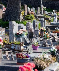 Nowy trend pochówków w Polsce. Ta usługa kosztuje niecałe 500 zł