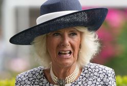 Księżna Camilla wyrzucona z pałacu. "Jest wściekła"