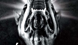 Franciszek nie jest papieżem, czyli fantazje watykanisty