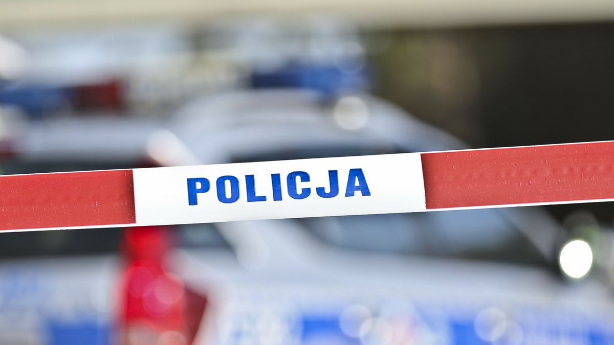 reporter9_baza
10.05.2017 Zielona Gora policja drogowka drogowki drogowce zdjecie ilustracyjne ilustracja policji tasma tasme policyjna napis na tasmie policyjnej miejsce wypadku radiowoz radiowozu radiowozie     fot. Piotr Jedzura/REPORTER
Piotr Jedzura/REPORTER