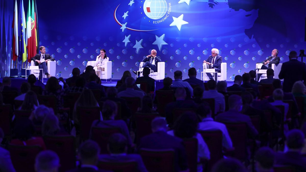 Powinniśmy się różnić, ale różnice nie powinny pacyfikować pluralizmu i różnorodności. Nie powinniśmy akceptować sytuacji, gdy nasza demokracja staje się coraz słabsza, ponieważ przez pół Polski przekopaliśmy potężny rów – apelował podczas prezentacji raportu WAG  Zygmunt Berdychowski, przewodniczący Rady Programowej Forum Ekonomicznego . Na zdj. sesja plenarna Forum Ekonomicznego w  Karpaczu