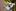 Lemur próbował ukraść fotografowi aparat
