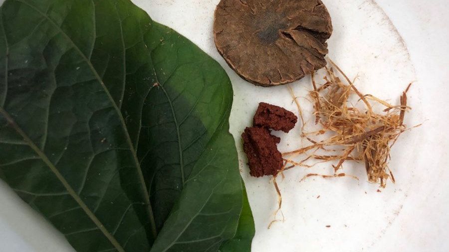 Betel, fot. Piyawit Moonkham