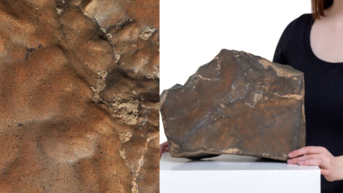 Marsjański meteoryt wystawiony na aukcję