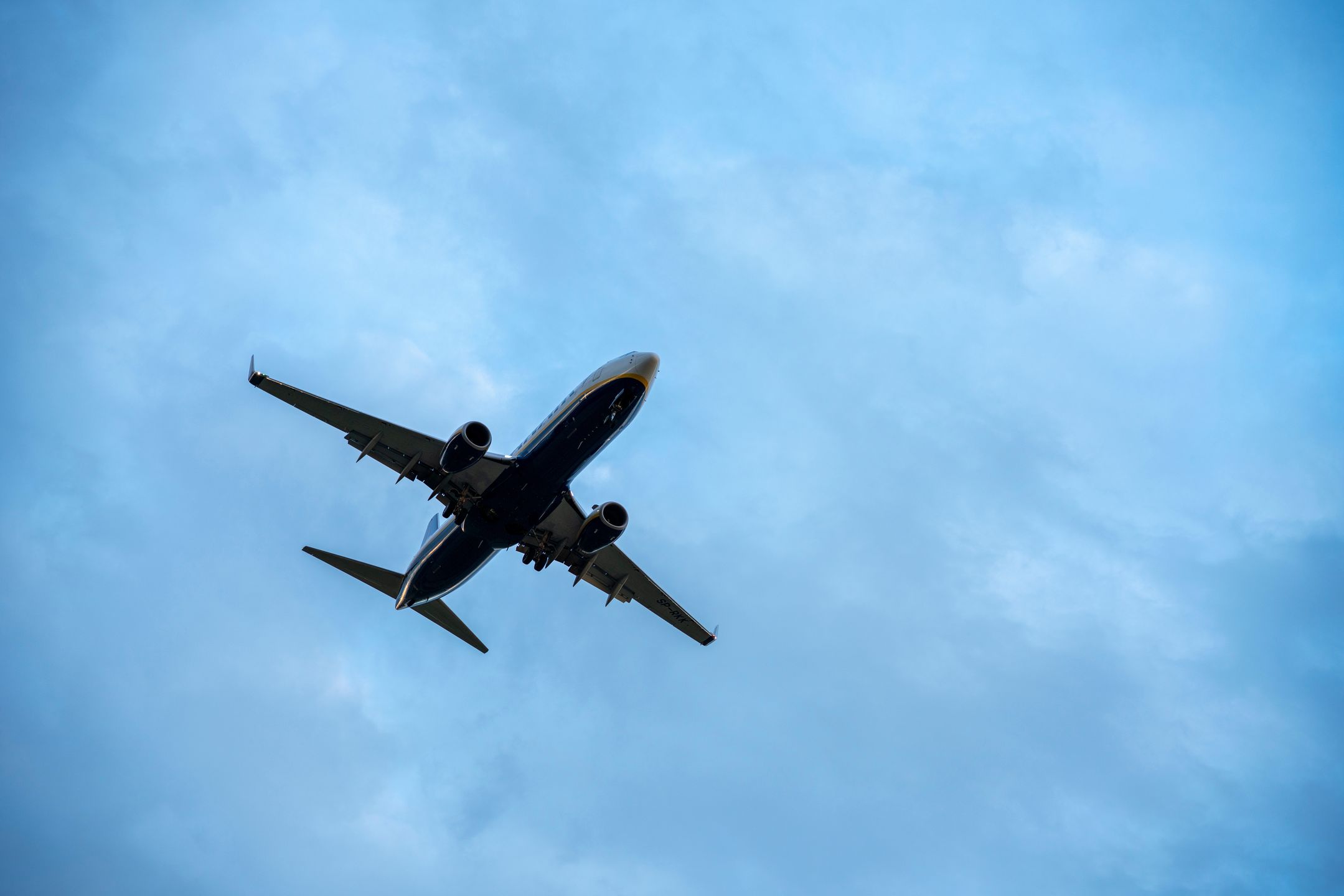 Samolot linii Ryanair zderzył się z ptakiem