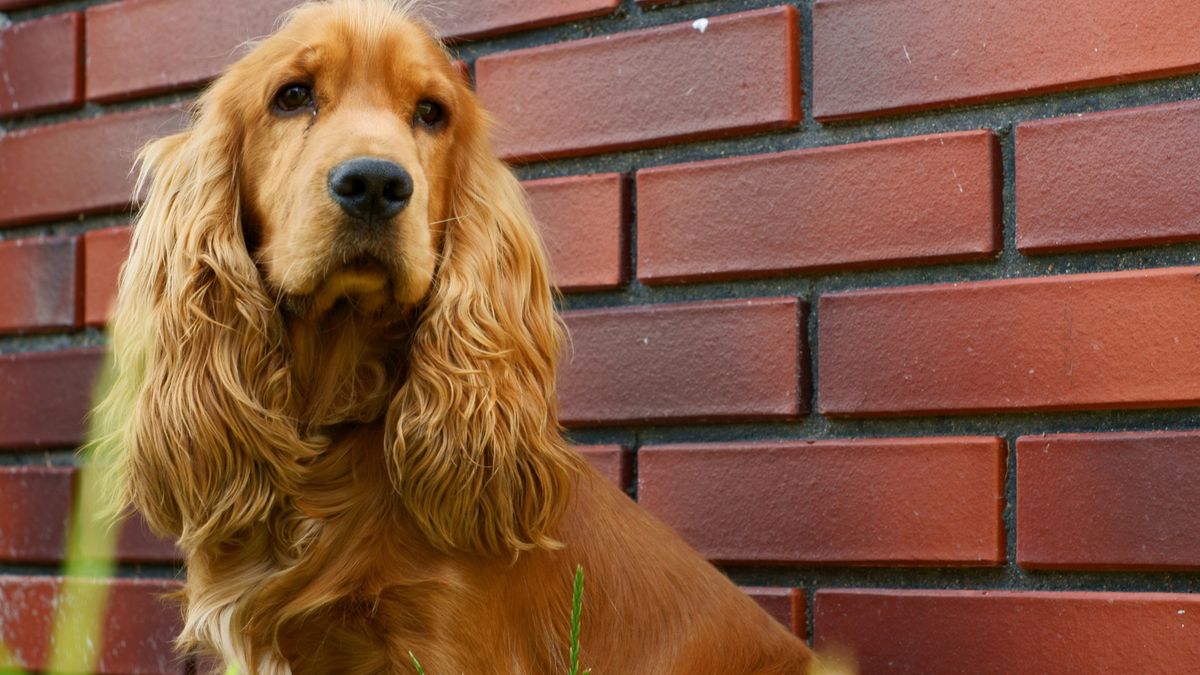 W 2025 zbliżymy się do rozwiązania tajemnicy zwierząt. 