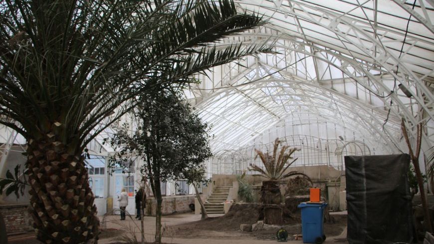 Legnica. Palmiarnia w miejskim parku będzie przyciągała tłumy odwiedzających. To atrakcja dla gości w każdym wieku