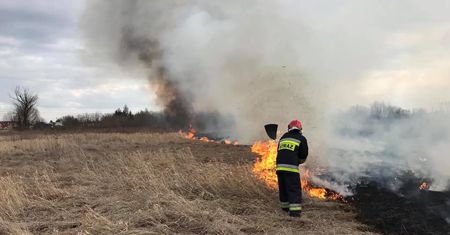 Surowsze kary za wypalanie traw. Kwota za złamanie zakazu wzrosła 6-krotnie!