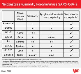 WHO wymienia najgroźniejsze warianty COVID. Sprawdzamy ich zakaźność i jak reagują na szczepionki