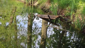 Lipinki i park Byszewskich. Alejki zarastają trawą, są też śmieci