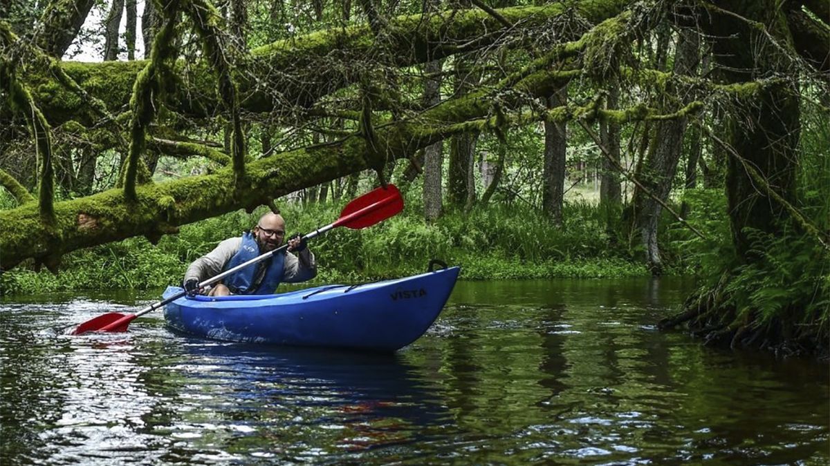 Lasy Państwowe zachęcają do leśnych spływów kajakowych
