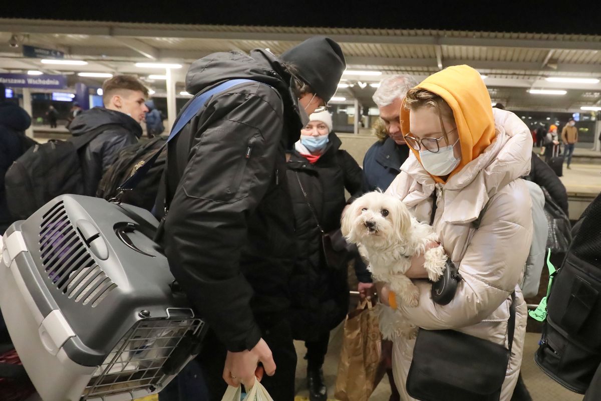 Юридична та формальна допомога для мешканців України, які приїжджають до Польщі