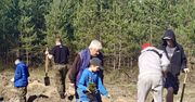 Dąbrowa Górnicza: 9 tysięcy drzew w jeden dzień