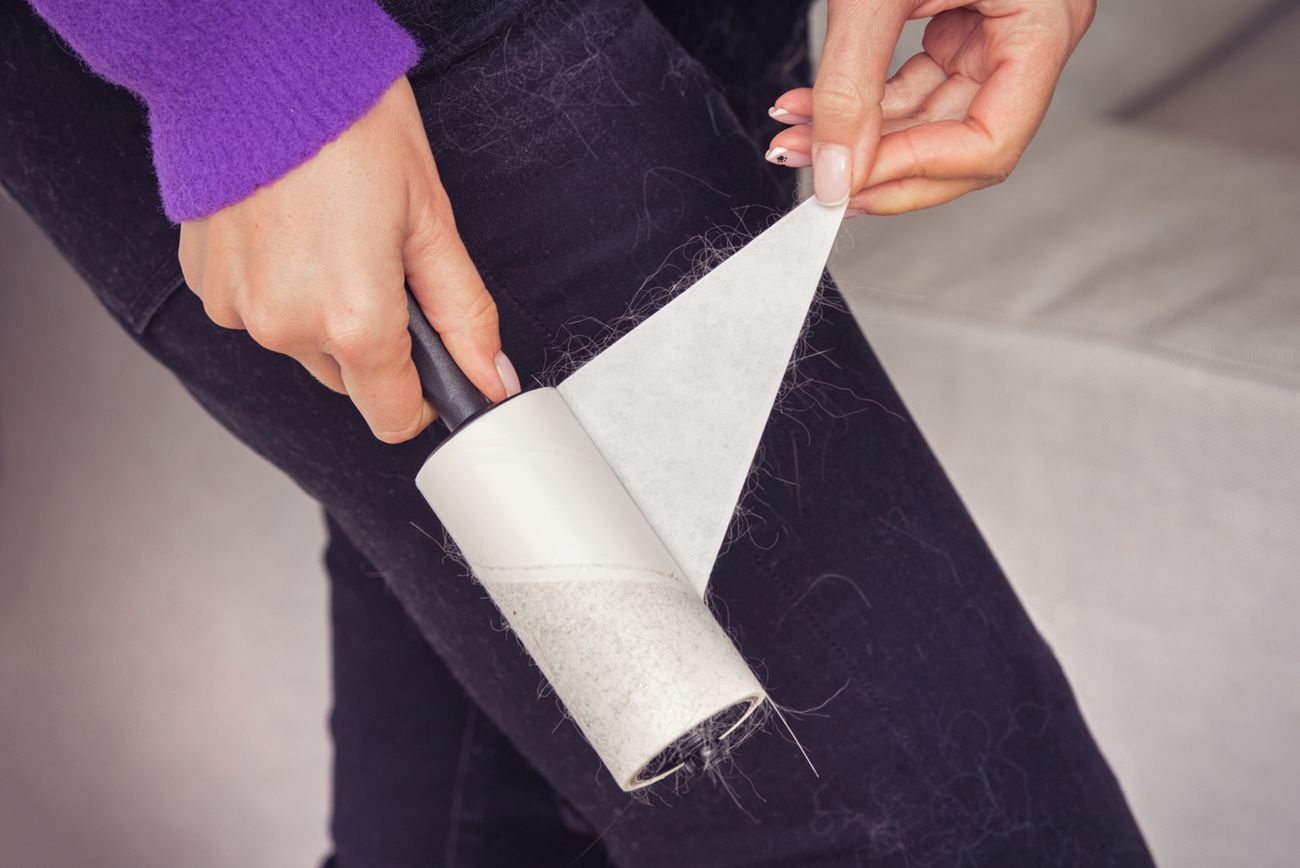 W casie linienia zwierząt warto wykorzystać samoprzylepne rolki do czyszczenia odzieży